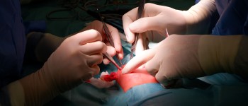operacja małego pacjenta